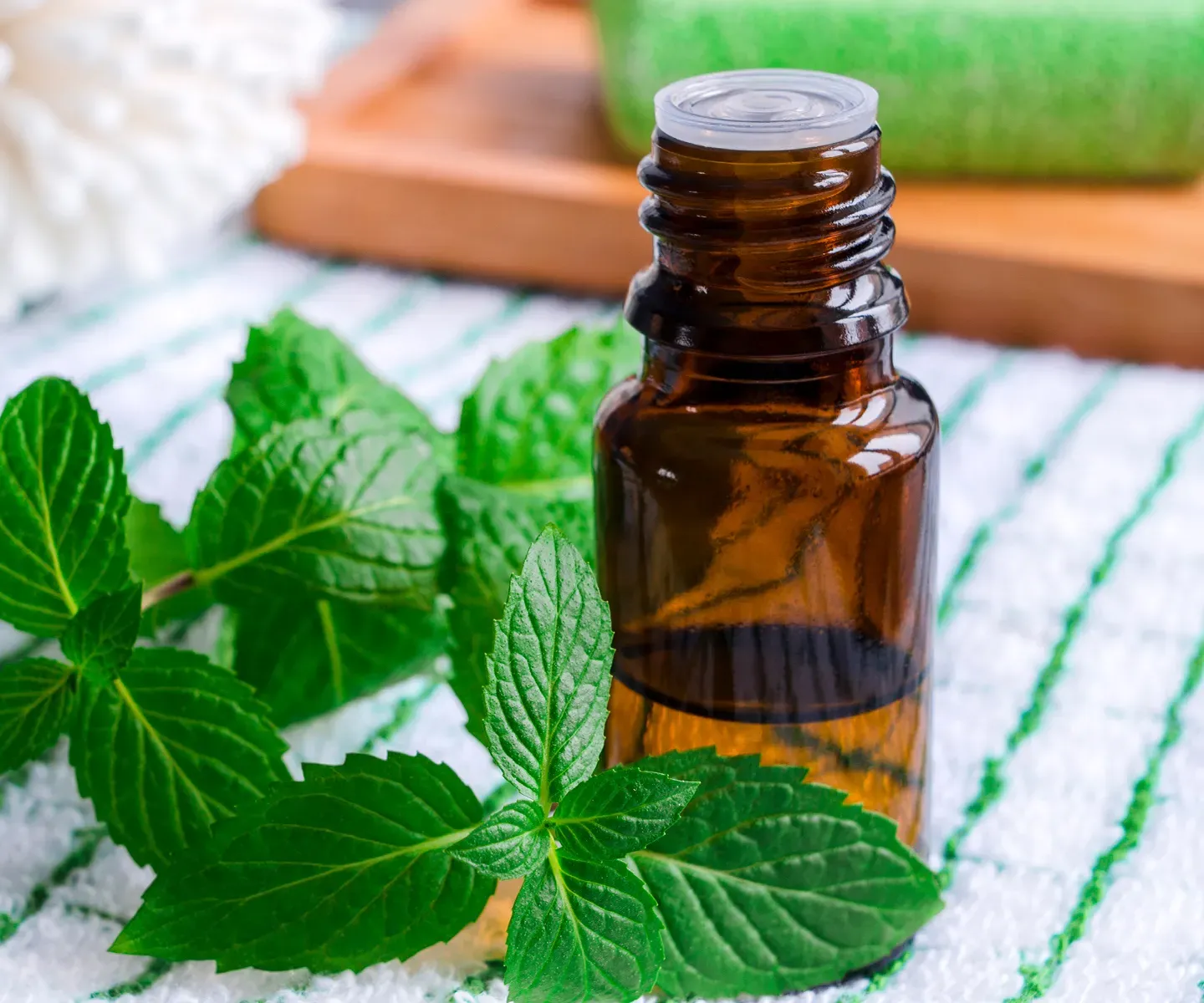 Peppermint Essential Oil
